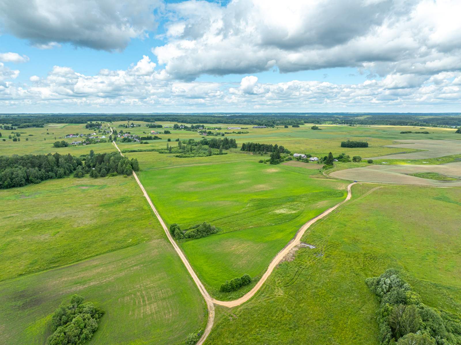 Dubingių pakrantė