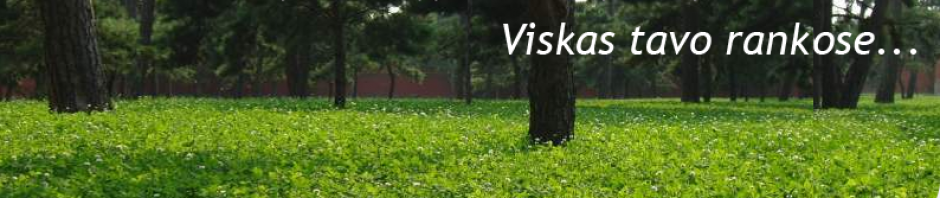 pusiaukelis